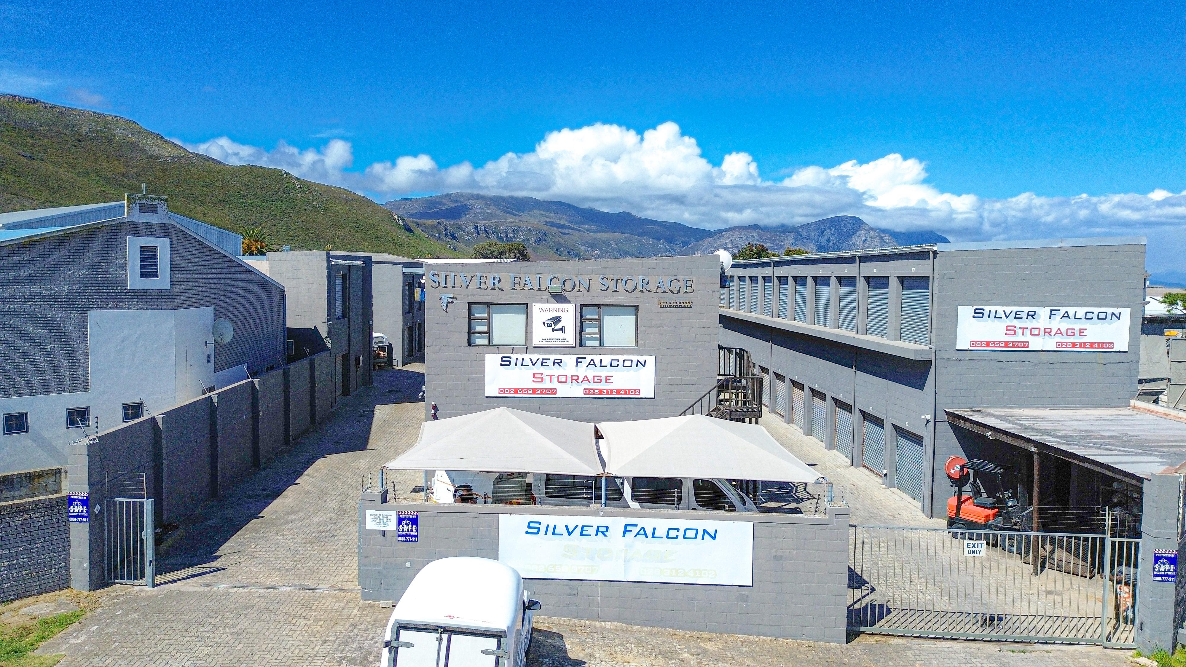 Silver Falcon exterior angle